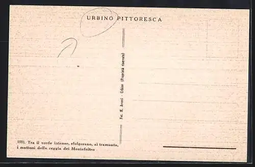 AK Urbino, Reggia dei Montefeltro