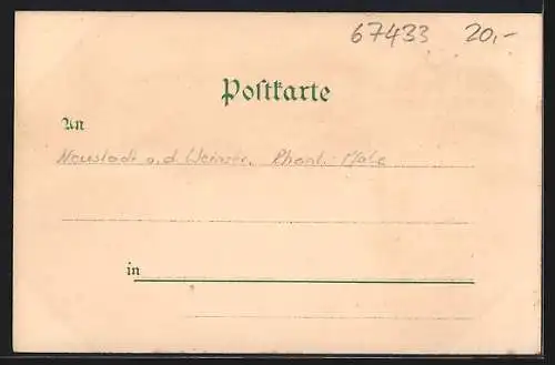 Lithographie Neustadt a. d. Haardt, Gymnasium, Marktplatz mit protest. Kirche, Saalbau, Panorama