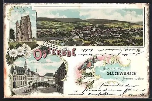 Lithographie Osterode / Harz, Marktplatz mit Postgebäude, Thurm und Totalansicht