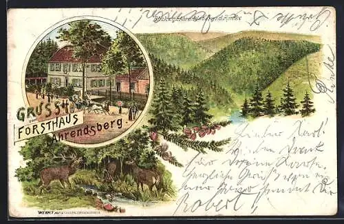 Lithographie Ahrendsberg, Gasthof Forsthaus Ahrendsberg, Blick i. d. Romke