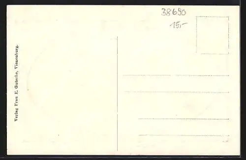 AK Vienenburg, Partie in der Kaiserstrasse