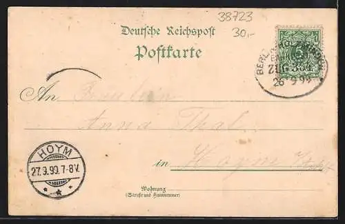 Lithographie Seesen, Bahnhof, Denkmal mit Kirche, Kurhotel & Jacobson-Schule