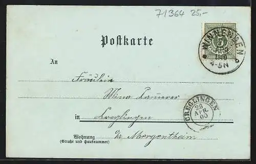 Mondschein-Lithographie Winnenden, Marktbrunnen und Hauptstrasse, Paulinenpflege, Kgl. Heil- und Pflegeanstalt
