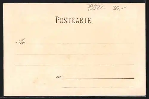 Lithographie Neustadt / Schwarzwald, Gasthaus Zum Adler-Post von E. Ketterer, Ortsansicht