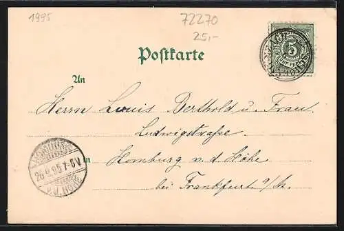 Vorläufer-Lithographie Schönmünzach im Murgthal, 1895, Hotel & Pension Waldhorn