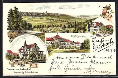 Lithographie Birkach / Stuttgart, Gasthof zum Birkenhof, Schloss Hohenheim