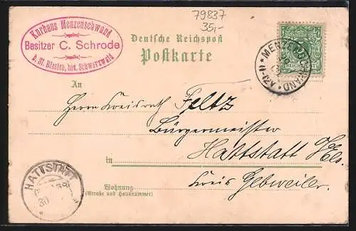 Lithographie Menzenschwand, Hôtel u. Kurhaus, Schwarzwaldhaus, Winterhalder Denkmal i. d. Schlucht
