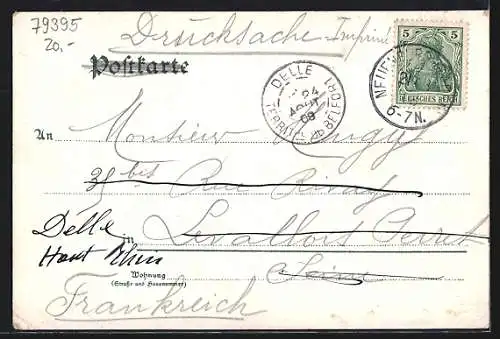 AK Neuenburg / Rhein, Gasthof zum Hirschen E. Wenk mit Strasse, Ortspanorama mit Bergen