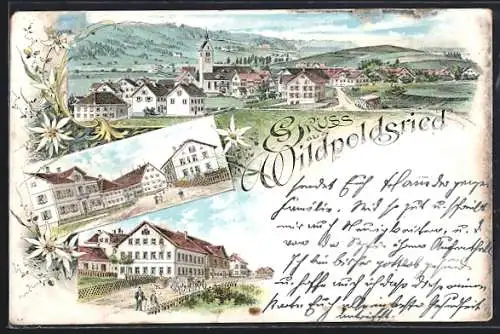 Lithographie Wildpoldsried, Häuser im Ort, Panorama