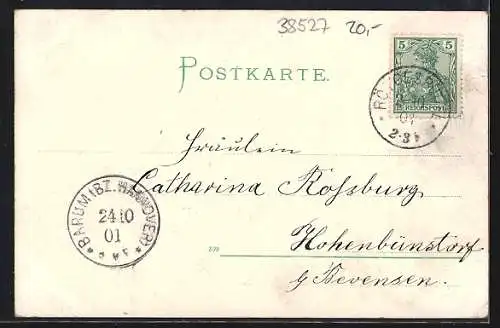 AK Gravenhorst / Meine, Gasthaus von Heinrich Rinkel Wittwe, Kapelle und Schule