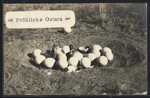 Foto-AK Windhuk Straussenküken und Eier in einem Nest, Fröhliche Ostern