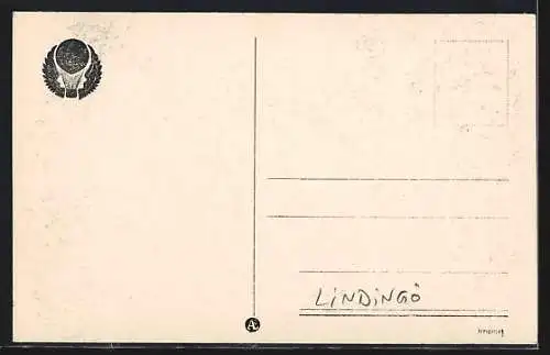AK Lindingö, fran flygplan