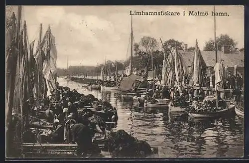 AK Malmö, Limhamnsfiskare i hamn