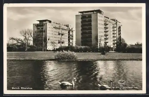 AK Malmö, Ribershus