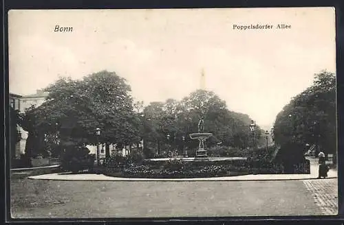 AK Bonn, Poppelsdorfer Allee mit Brunnen