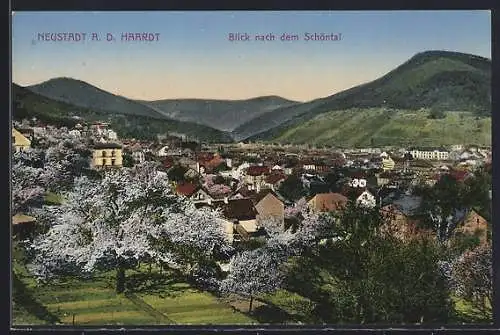 AK Neustadt a. d. Haardt, Ortsansicht in Richtung Schöntal