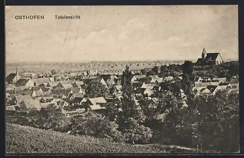 AK Osthofen, Blick über die Dächer