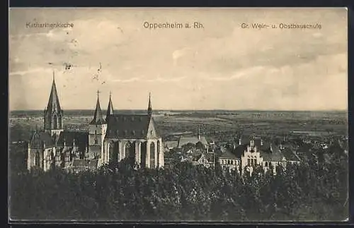 AK Oppenheim a. Rh., Blick auf die Katharinenkirche und die Gr. Wein- und Obstbauschule