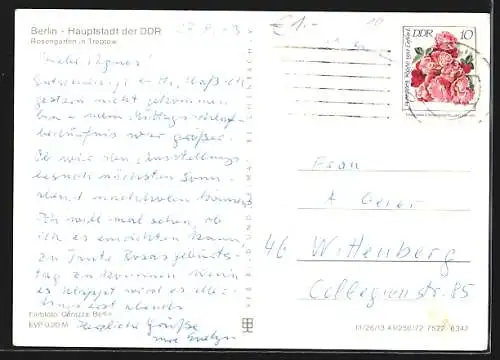 AK Berlin-Treptow, Rosengarten mit Springbrunnen