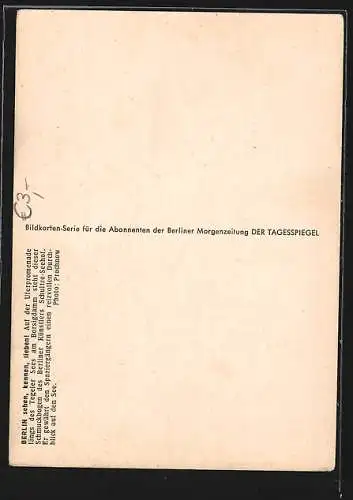 AK Berlin, Schmuckbogen des Künstlers Schultze-Seehof auf der Uferpromenade am Tegeler See