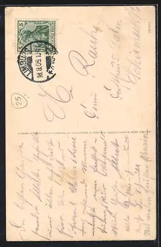 AK Limburg a. d. Lahn, Blick auf den Dom und die Lahnmühle