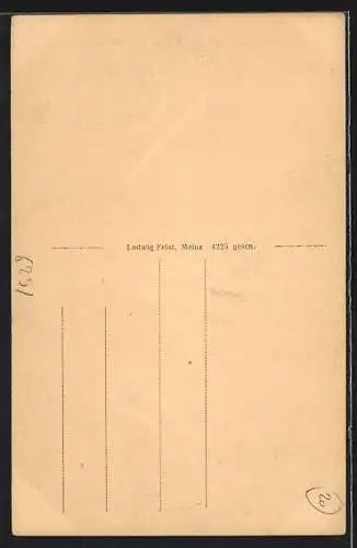 AK Balduinstein a. d. Lahn, Ortsansicht mit Schloss Schaumburg