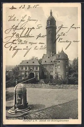 AK Höchst a. M., Schloss mit Brüningsbrunnen