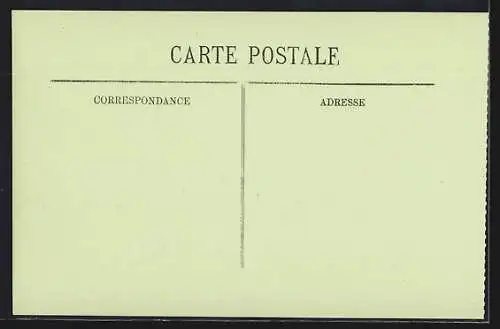 AK Paris, Inondations de janvier 1910, Rue Saint-Charles avec barque et arbres inondés