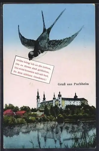 AK Puchheim, Ortsansicht mit Gewässer und Schloss, Schwalbe