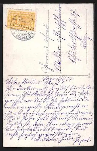 AK Steyr /O.-Oe., Blick auf das Werndl-Denkmal