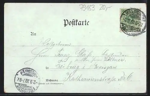 Lithographie Waldkirch / Breisgau, Ortsansicht aus der Vogelschau