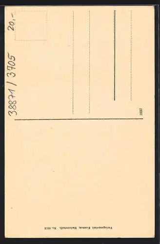 AK Ilsenburg a. H., Gasthof zur Ilse, Ortsansicht