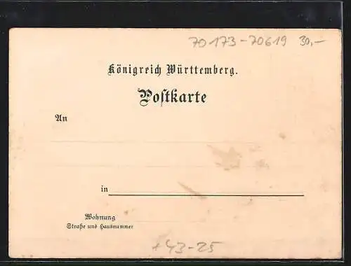Lithographie Stuttgart, V. deutsches Sängerbundfest 1896, Blick zur Festhalle