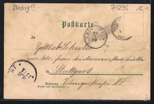 Lithographie Heimsheim, Rathaus, Schleglerschloss, Schule, Totalansicht