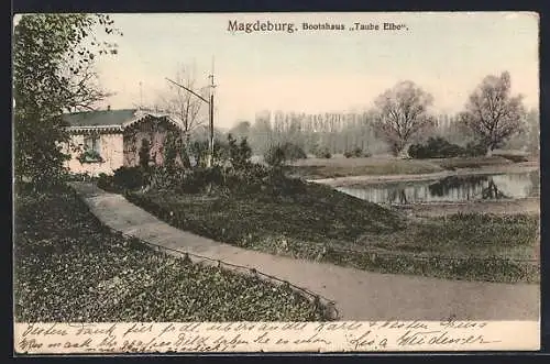 AK Magdeburg, Bootshaus Taube Elbe