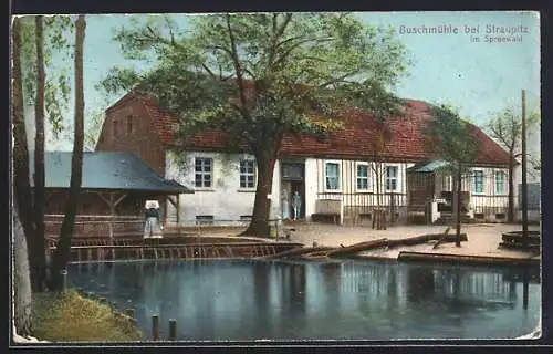 AK Straupitz im Spreewald, Partie an der Buschmühle