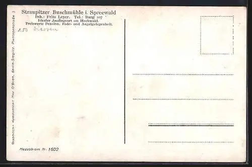 AK Straupitz im Spreewald, Das Gasthaus Buschmühle v. Fritz Leyer
