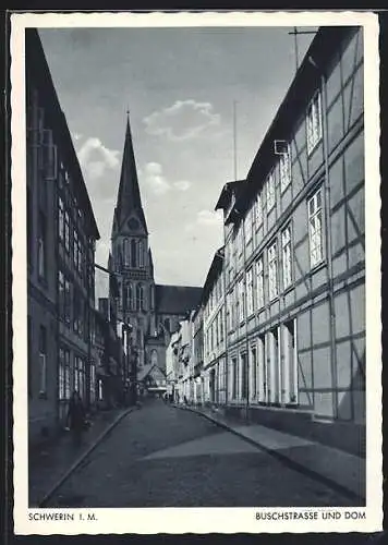 AK Schwerin i. M., Buschstrasse mit Dom