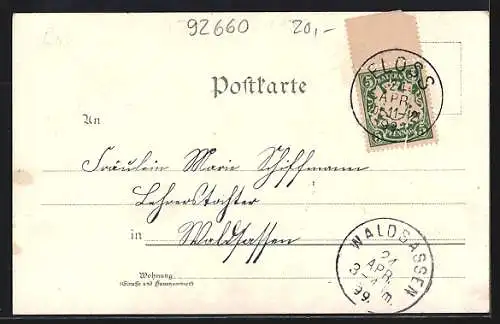 Lithographie Neustadt / Waldnaab, Partien aus der Ober- & Unterstadt, Gesamtansicht