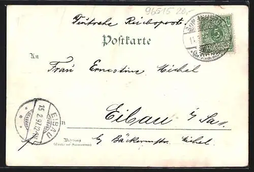 Lithographie Sonneberg / Thüringen, Kurhaus, Rathaus, Kirche, Ortsansicht