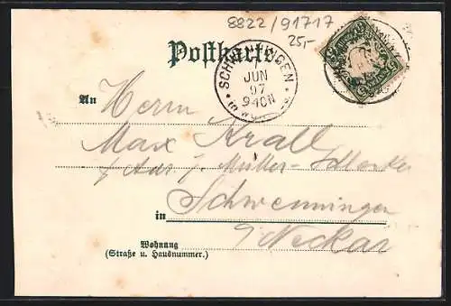 Lithographie Wassertrüdingen, Distrikts-Krankenhaus, Oberes Thor und Totalansicht