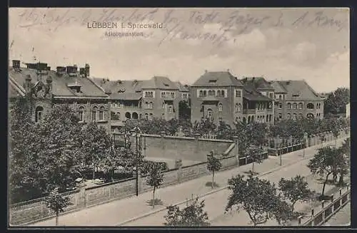 AK Lübben i. Spreewald, Idiotenanstalt und Strassenpartie