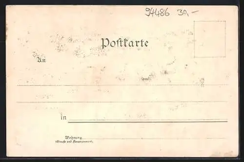 Lithographie Osterhofen / Donau, Schloss Moos, Damenstift-Kloster