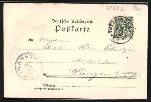 Lithographie Tuttlingen, Kathol. Kirche, Schneckenburger Denkmal, Totalansicht