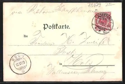 Lithographie Reichenau, Münster und Insel Reichenau