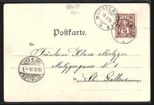 Lithographie Reichenau, Münster und Insel Reichenau