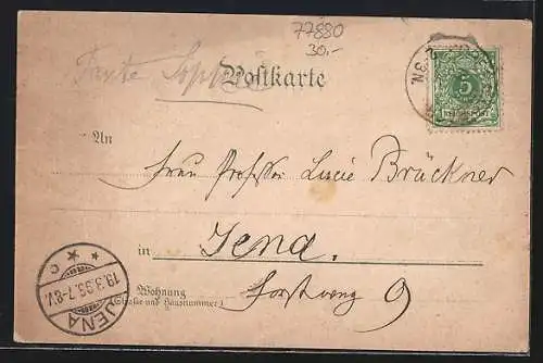 Lithographie Sasbach / Baden, Ortsansicht, Turenne Denkmal, Institut Lender