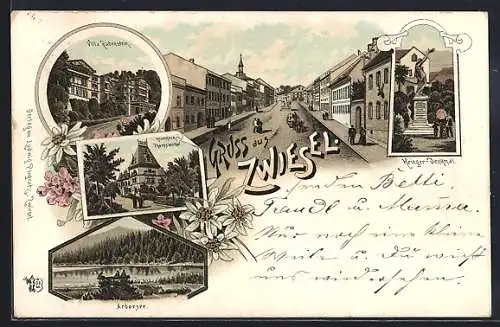 Vorläufer-Lithographie Zwiesel / Bayern, 1895, Villa Rabenstein, Herrenhaus Theresienthal, Kriegerdenkmal und Arbersee