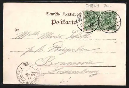 Lithographie Wehlen / Elbe, Röhringers Hotel Sächsische Schweiz, Ortsansicht mit Elbe