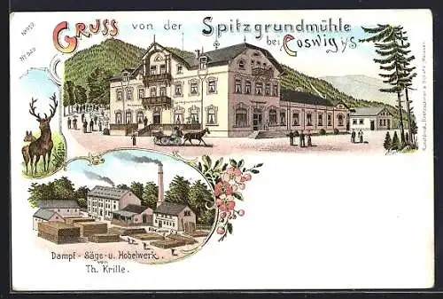 Lithographie Coswig i. S., Restaurant Spitzgrundmühle, Dampf-Säge- u. Hobelwerk von Th. Krille